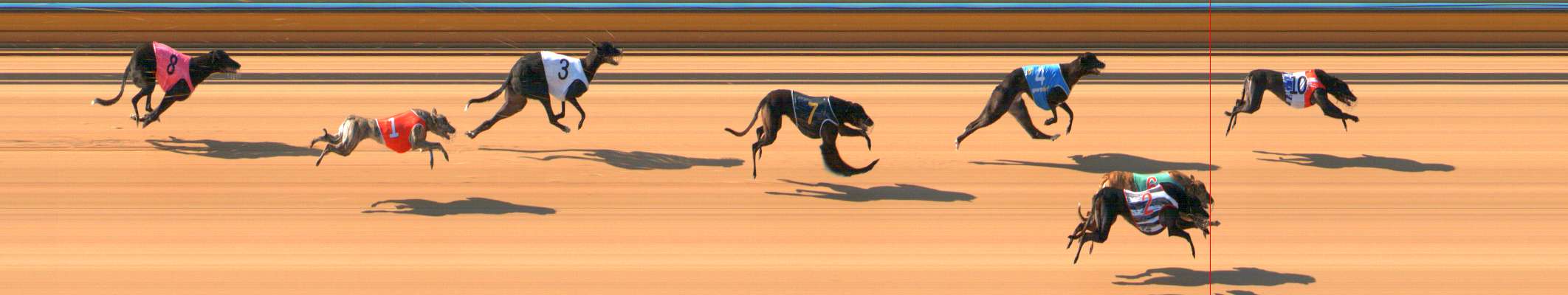 Race result finish photo